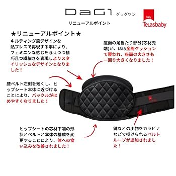 ⭐︎美品⭐︎未使用⭐︎最新DaG1(C310)ヒップシート Amazon.co.jp: □□リニューアル□□テラスベビー DaG1